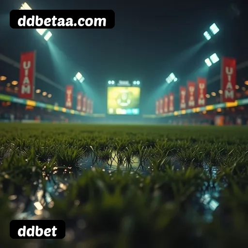 Requisitos do APK da ddbet para Android